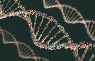 Bilde av DNA