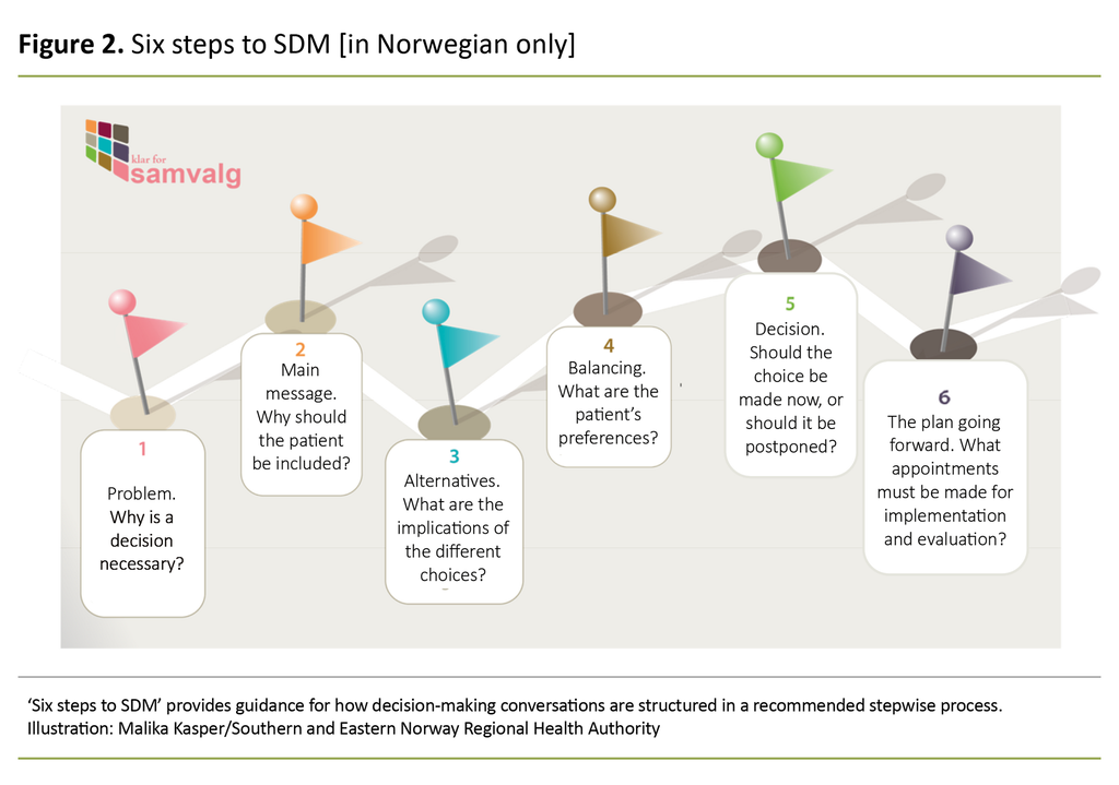 Figure 2. Six steps to SDM [in Norwegian only]