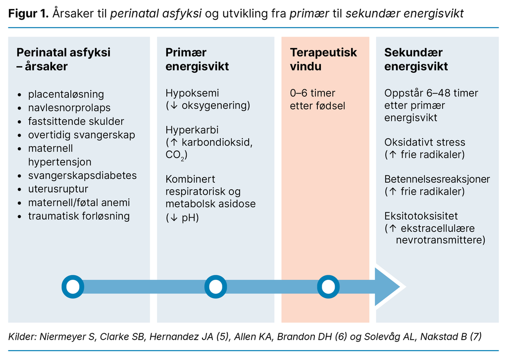 Figur 1. Årsaker til perinatal asfyksi og utvikling fra primær til sekundær energisvikt