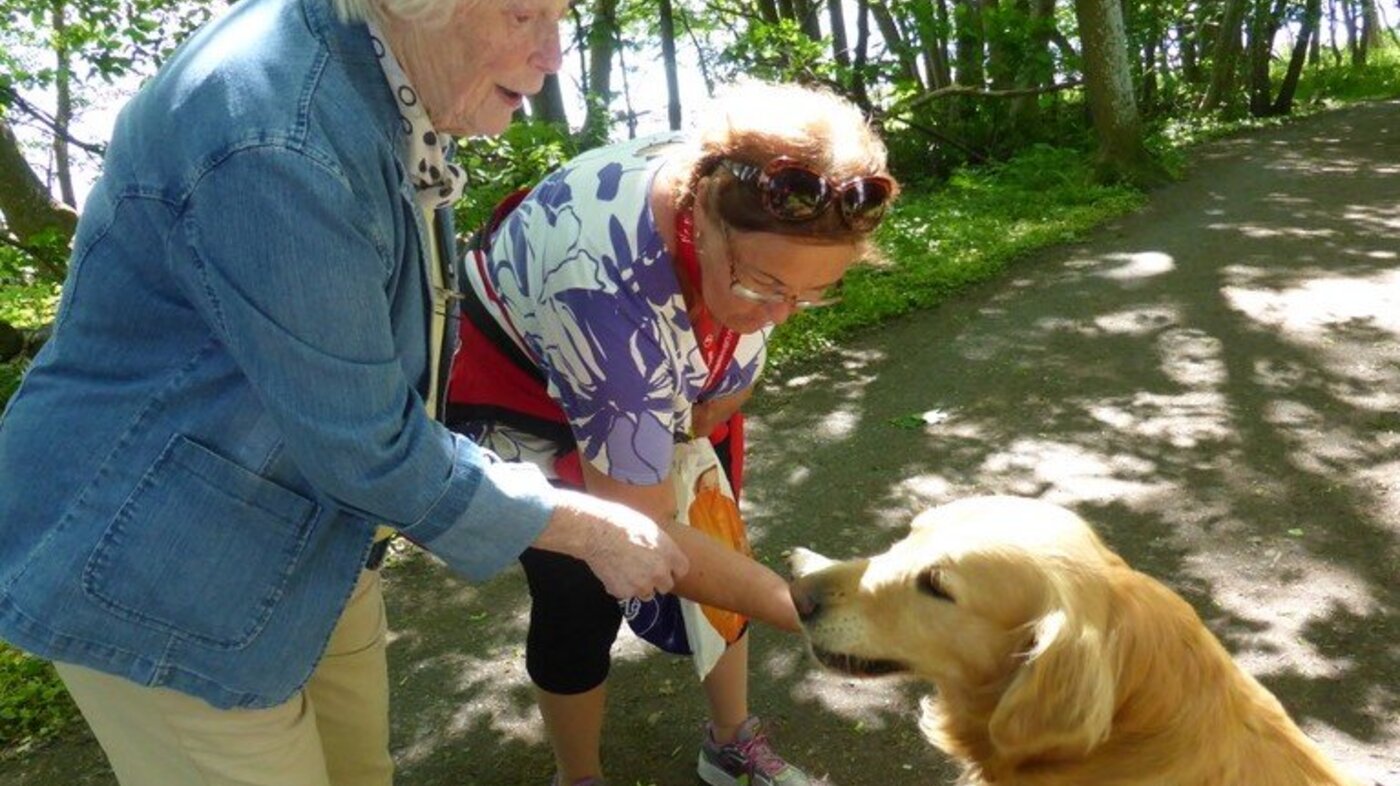Bildet viser to som møter en hund