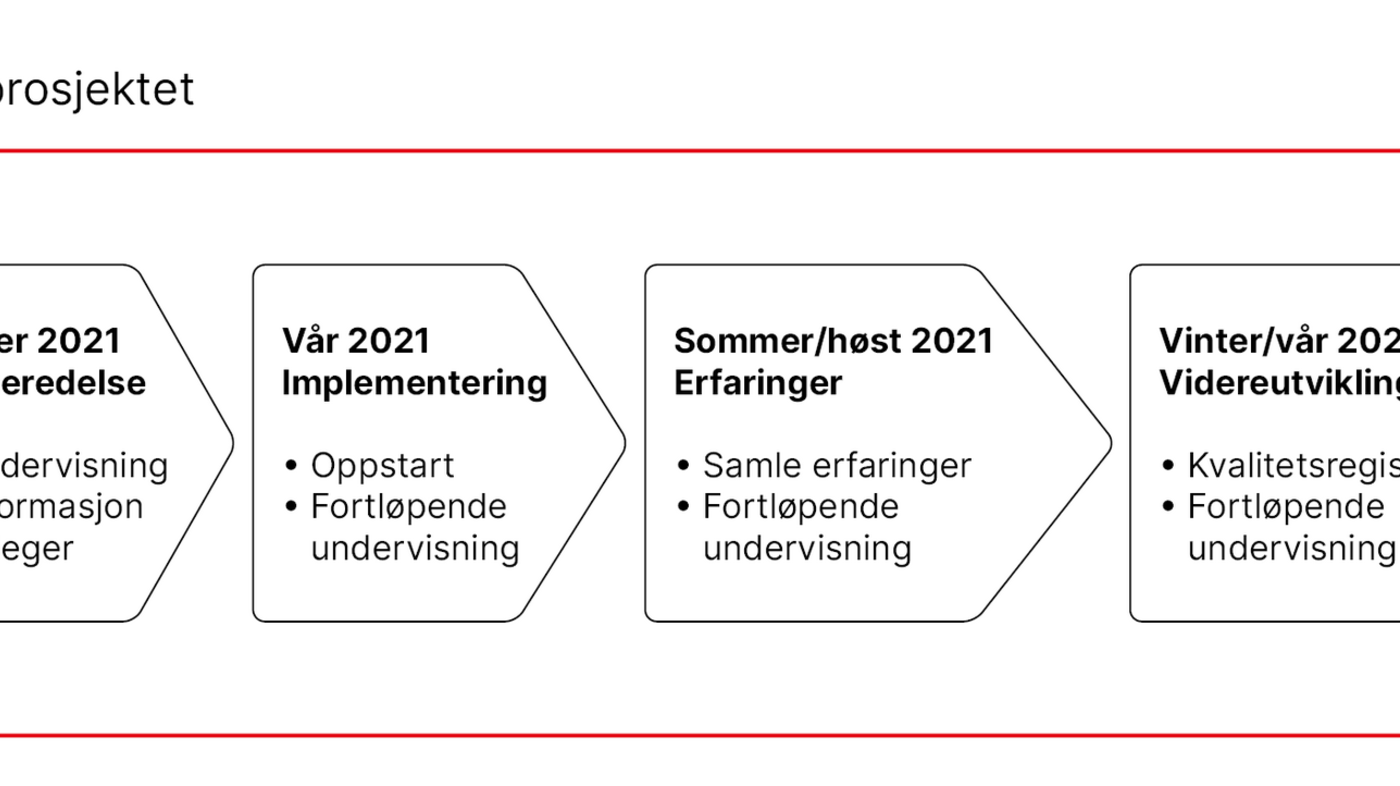 Figur 1. Tidslinje for prosjektet