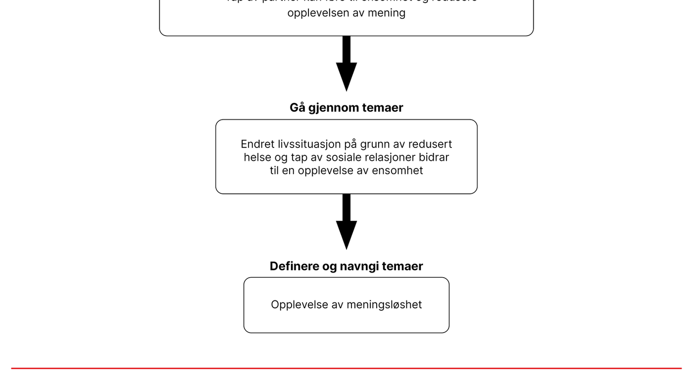 Figur 1. Illustrasjon av analyseprosessen Figur 1. Illustrasjon av analyseprosessen
